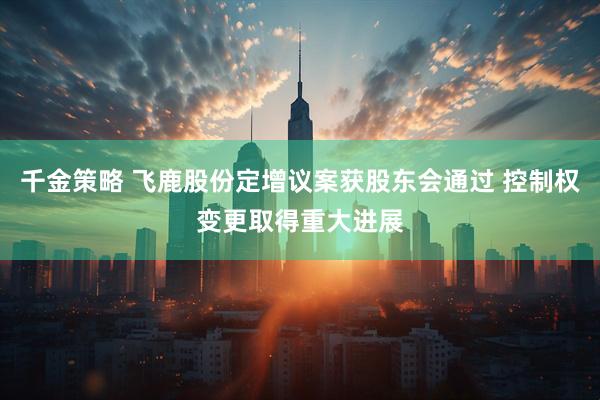 千金策略 飞鹿股份定增议案获股东会通过 控制权变更取得重大进展