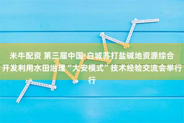 米牛配资 第三届中国·白城苏打盐碱地资源综合开发利用水田治理“大安模式”技术经验交流会举行