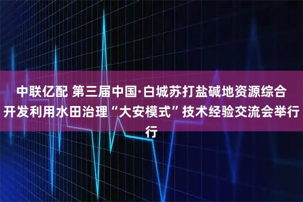 中联亿配 第三届中国·白城苏打盐碱地资源综合开发利用水田治理“大安模式”技术经验交流会举行