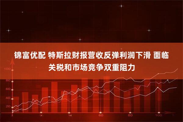 锦富优配 特斯拉财报营收反弹利润下滑 面临关税和市场竞争双重阻力