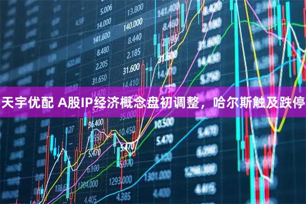 天宇优配 A股IP经济概念盘初调整，哈尔斯触及跌停