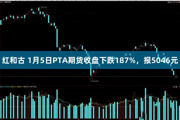 红和古 1月5日PTA期货收盘下跌187%，报5046元