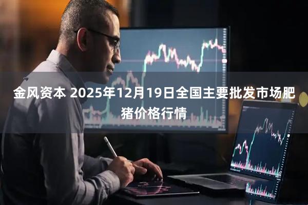 金风资本 2025年12月19日全国主要批发市场肥猪价格行情