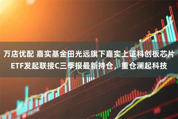 万店优配 嘉实基金田光远旗下嘉实上证科创板芯片ETF发起联接C三季报最新持仓，重仓澜起科技