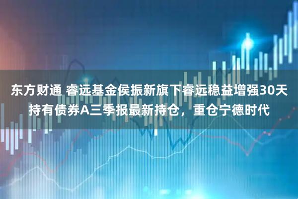 东方财通 睿远基金侯振新旗下睿远稳益增强30天持有债券A三季报最新持仓，重仓宁德时代