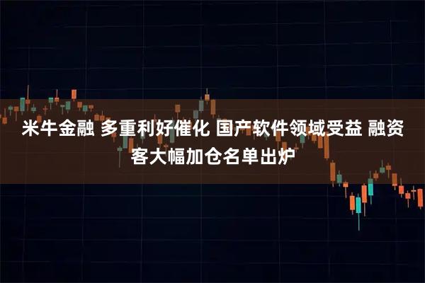 米牛金融 多重利好催化 国产软件领域受益 融资客大幅加仓名单出炉